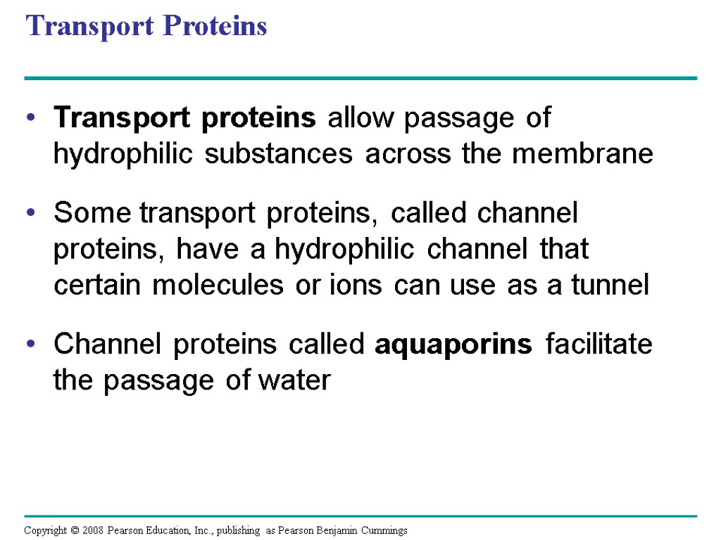Transport Proteins Transport proteins allow passage of hydrophilic substances across the membrane Some transport